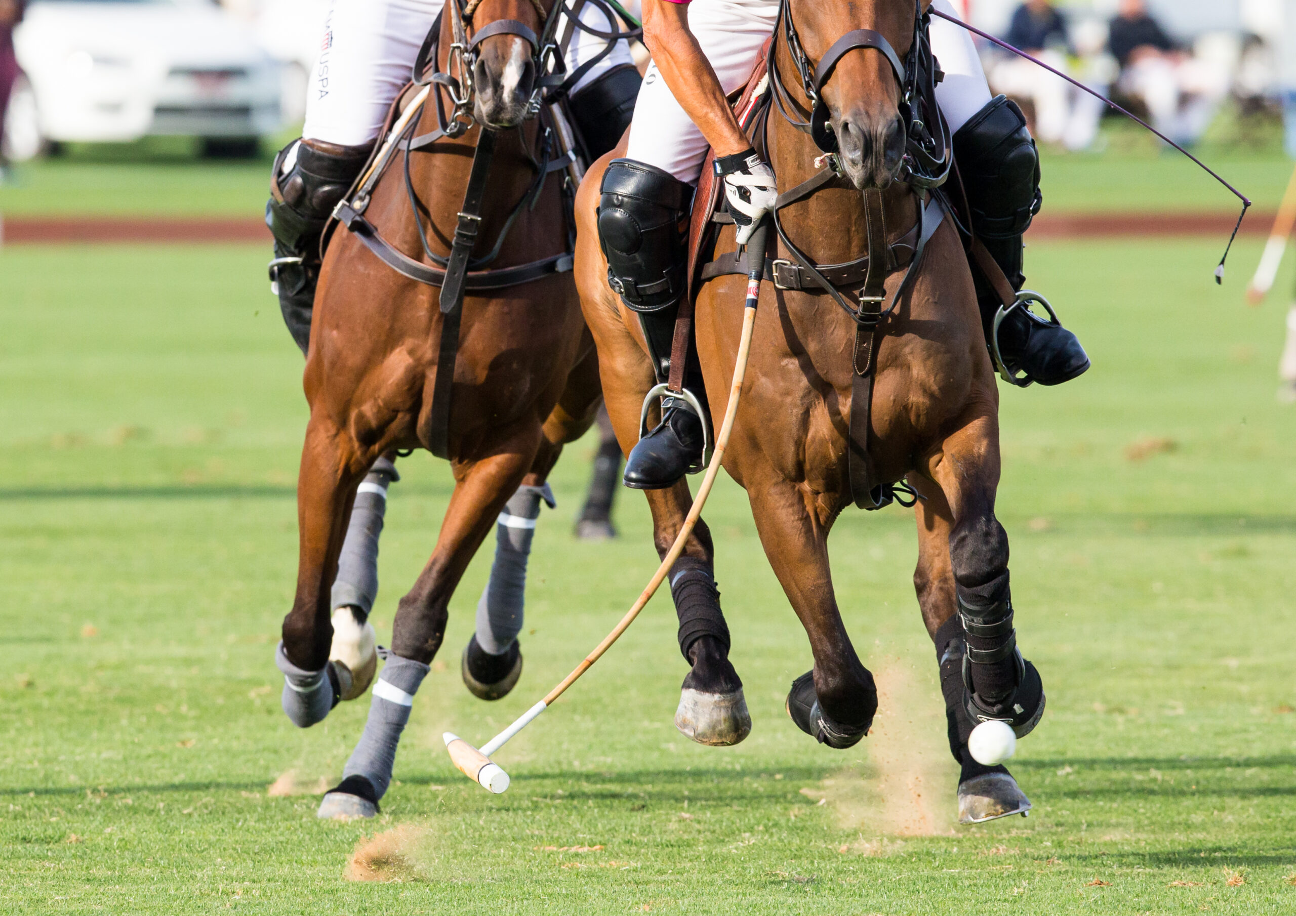 Two polo players riding horses chasing a ball on a grassy field.