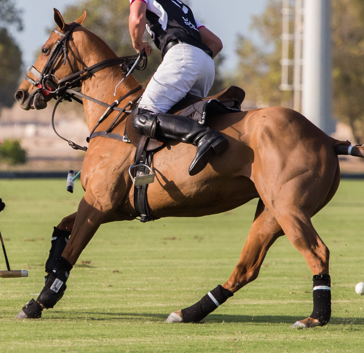 A polo player riding a horse during a match.