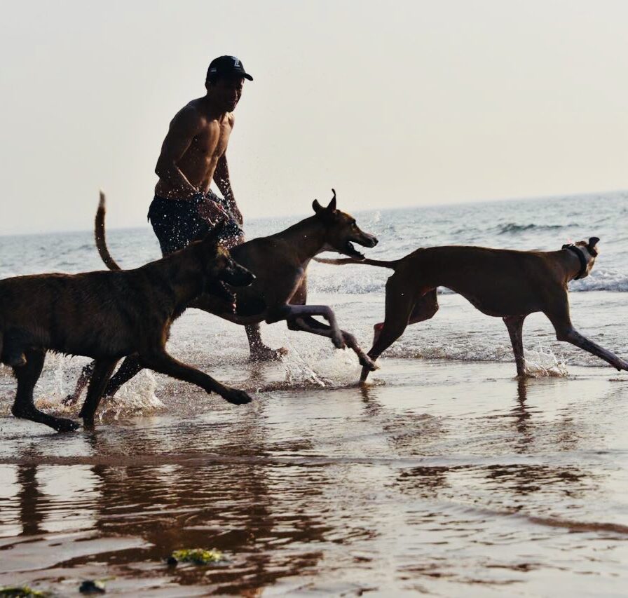 A person running with three dogs on the beach.